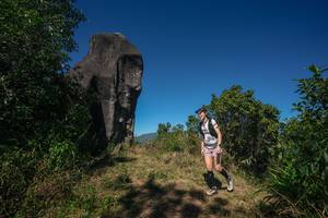 BIB: 
                            <button type="button" onclick="openModal(26576679)" class="btn btn-primary btn-sm float-right btn-popup" data-toggle="modal" data-target=".modal-high-quality">
                        <i class="fas fa-shopping-cart"></i> Add to Cart
                    </button>
                                            <button type="button" onclick="isThisMe(26576679, true)" class="btn btn-success btn-sm float-right btn-popup btn-isme hidden" data-toggle="tooltip" data-placement="bottom" title="นี่คือรูปของคุณใช่ไหม คลิกที่นี่เพื่อเอาเข้าอัลบั้ม">
                        <i class="fas fa-plus"></i> Add to album
                    </button>
                    <button type="button" onclick="isThisMe(26576679, false)" class="btn btn-warning btn-sm float-right btn-popup btn-isnotme hidden">
                        <i class="fas fa-ban"></i> Remove from album
                    </button>