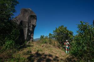 BIB: 
                            <button type="button" onclick="openModal(26576617)" class="btn btn-primary btn-sm float-right btn-popup" data-toggle="modal" data-target=".modal-high-quality">
                        <i class="fas fa-shopping-cart"></i> Add to Cart
                    </button>
                                            <button type="button" onclick="isThisMe(26576617, true)" class="btn btn-success btn-sm float-right btn-popup btn-isme hidden" data-toggle="tooltip" data-placement="bottom" title="นี่คือรูปของคุณใช่ไหม คลิกที่นี่เพื่อเอาเข้าอัลบั้ม">
                        <i class="fas fa-plus"></i> Add to album
                    </button>
                    <button type="button" onclick="isThisMe(26576617, false)" class="btn btn-warning btn-sm float-right btn-popup btn-isnotme hidden">
                        <i class="fas fa-ban"></i> Remove from album
                    </button>