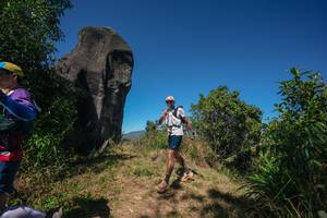 BIB: 
                            <button type="button" onclick="openModal(26578420)" class="btn btn-primary btn-sm float-right btn-popup" data-toggle="modal" data-target=".modal-high-quality">
                        <i class="fas fa-shopping-cart"></i> Add to Cart
                    </button>
                                            <button type="button" onclick="isThisMe(26578420, true)" class="btn btn-success btn-sm float-right btn-popup btn-isme hidden" data-toggle="tooltip" data-placement="bottom" title="นี่คือรูปของคุณใช่ไหม คลิกที่นี่เพื่อเอาเข้าอัลบั้ม">
                        <i class="fas fa-plus"></i> Add to album
                    </button>
                    <button type="button" onclick="isThisMe(26578420, false)" class="btn btn-warning btn-sm float-right btn-popup btn-isnotme hidden">
                        <i class="fas fa-ban"></i> Remove from album
                    </button>