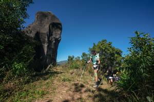 BIB: 
                            <button type="button" onclick="openModal(26578377)" class="btn btn-primary btn-sm float-right btn-popup" data-toggle="modal" data-target=".modal-high-quality">
                        <i class="fas fa-shopping-cart"></i> Add to Cart
                    </button>
                                            <button type="button" onclick="isThisMe(26578377, true)" class="btn btn-success btn-sm float-right btn-popup btn-isme hidden" data-toggle="tooltip" data-placement="bottom" title="นี่คือรูปของคุณใช่ไหม คลิกที่นี่เพื่อเอาเข้าอัลบั้ม">
                        <i class="fas fa-plus"></i> Add to album
                    </button>
                    <button type="button" onclick="isThisMe(26578377, false)" class="btn btn-warning btn-sm float-right btn-popup btn-isnotme hidden">
                        <i class="fas fa-ban"></i> Remove from album
                    </button>