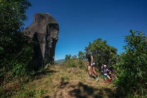 BIB: 
                            <button type="button" onclick="openModal(26577621)" class="btn btn-primary btn-sm float-right btn-popup" data-toggle="modal" data-target=".modal-high-quality">
                        <i class="fas fa-shopping-cart"></i> Add to Cart
                    </button>
                                            <button type="button" onclick="isThisMe(26577621, true)" class="btn btn-success btn-sm float-right btn-popup btn-isme hidden" data-toggle="tooltip" data-placement="bottom" title="นี่คือรูปของคุณใช่ไหม คลิกที่นี่เพื่อเอาเข้าอัลบั้ม">
                        <i class="fas fa-plus"></i> Add to album
                    </button>
                    <button type="button" onclick="isThisMe(26577621, false)" class="btn btn-warning btn-sm float-right btn-popup btn-isnotme hidden">
                        <i class="fas fa-ban"></i> Remove from album
                    </button>