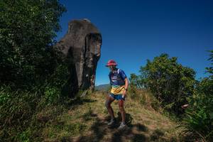 BIB: 
                            <button type="button" onclick="openModal(26576867)" class="btn btn-primary btn-sm float-right btn-popup" data-toggle="modal" data-target=".modal-high-quality">
                        <i class="fas fa-shopping-cart"></i> Add to Cart
                    </button>
                                            <button type="button" onclick="isThisMe(26576867, true)" class="btn btn-success btn-sm float-right btn-popup btn-isme hidden" data-toggle="tooltip" data-placement="bottom" title="นี่คือรูปของคุณใช่ไหม คลิกที่นี่เพื่อเอาเข้าอัลบั้ม">
                        <i class="fas fa-plus"></i> Add to album
                    </button>
                    <button type="button" onclick="isThisMe(26576867, false)" class="btn btn-warning btn-sm float-right btn-popup btn-isnotme hidden">
                        <i class="fas fa-ban"></i> Remove from album
                    </button>