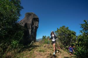 BIB: 
                            <button type="button" onclick="openModal(26578707)" class="btn btn-primary btn-sm float-right btn-popup" data-toggle="modal" data-target=".modal-high-quality">
                        <i class="fas fa-shopping-cart"></i> Add to Cart
                    </button>
                                            <button type="button" onclick="isThisMe(26578707, true)" class="btn btn-success btn-sm float-right btn-popup btn-isme hidden" data-toggle="tooltip" data-placement="bottom" title="นี่คือรูปของคุณใช่ไหม คลิกที่นี่เพื่อเอาเข้าอัลบั้ม">
                        <i class="fas fa-plus"></i> Add to album
                    </button>
                    <button type="button" onclick="isThisMe(26578707, false)" class="btn btn-warning btn-sm float-right btn-popup btn-isnotme hidden">
                        <i class="fas fa-ban"></i> Remove from album
                    </button>