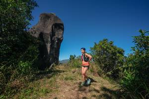 BIB: 
                            <button type="button" onclick="openModal(26578504)" class="btn btn-primary btn-sm float-right btn-popup" data-toggle="modal" data-target=".modal-high-quality">
                        <i class="fas fa-shopping-cart"></i> Add to Cart
                    </button>
                                            <button type="button" onclick="isThisMe(26578504, true)" class="btn btn-success btn-sm float-right btn-popup btn-isme hidden" data-toggle="tooltip" data-placement="bottom" title="นี่คือรูปของคุณใช่ไหม คลิกที่นี่เพื่อเอาเข้าอัลบั้ม">
                        <i class="fas fa-plus"></i> Add to album
                    </button>
                    <button type="button" onclick="isThisMe(26578504, false)" class="btn btn-warning btn-sm float-right btn-popup btn-isnotme hidden">
                        <i class="fas fa-ban"></i> Remove from album
                    </button>