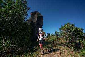 BIB: 
                            <button type="button" onclick="openModal(26585627)" class="btn btn-primary btn-sm float-right btn-popup" data-toggle="modal" data-target=".modal-high-quality">
                        <i class="fas fa-shopping-cart"></i> Add to Cart
                    </button>
                                            <button type="button" onclick="isThisMe(26585627, true)" class="btn btn-success btn-sm float-right btn-popup btn-isme hidden" data-toggle="tooltip" data-placement="bottom" title="นี่คือรูปของคุณใช่ไหม คลิกที่นี่เพื่อเอาเข้าอัลบั้ม">
                        <i class="fas fa-plus"></i> Add to album
                    </button>
                    <button type="button" onclick="isThisMe(26585627, false)" class="btn btn-warning btn-sm float-right btn-popup btn-isnotme hidden">
                        <i class="fas fa-ban"></i> Remove from album
                    </button>