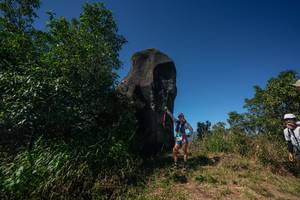 BIB: 
                            <button type="button" onclick="openModal(26582182)" class="btn btn-primary btn-sm float-right btn-popup" data-toggle="modal" data-target=".modal-high-quality">
                        <i class="fas fa-shopping-cart"></i> Add to Cart
                    </button>
                                            <button type="button" onclick="isThisMe(26582182, true)" class="btn btn-success btn-sm float-right btn-popup btn-isme hidden" data-toggle="tooltip" data-placement="bottom" title="นี่คือรูปของคุณใช่ไหม คลิกที่นี่เพื่อเอาเข้าอัลบั้ม">
                        <i class="fas fa-plus"></i> Add to album
                    </button>
                    <button type="button" onclick="isThisMe(26582182, false)" class="btn btn-warning btn-sm float-right btn-popup btn-isnotme hidden">
                        <i class="fas fa-ban"></i> Remove from album
                    </button>