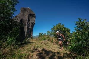 BIB: 
                            <button type="button" onclick="openModal(26577195)" class="btn btn-primary btn-sm float-right btn-popup" data-toggle="modal" data-target=".modal-high-quality">
                        <i class="fas fa-shopping-cart"></i> Add to Cart
                    </button>
                                            <button type="button" onclick="isThisMe(26577195, true)" class="btn btn-success btn-sm float-right btn-popup btn-isme hidden" data-toggle="tooltip" data-placement="bottom" title="นี่คือรูปของคุณใช่ไหม คลิกที่นี่เพื่อเอาเข้าอัลบั้ม">
                        <i class="fas fa-plus"></i> Add to album
                    </button>
                    <button type="button" onclick="isThisMe(26577195, false)" class="btn btn-warning btn-sm float-right btn-popup btn-isnotme hidden">
                        <i class="fas fa-ban"></i> Remove from album
                    </button>