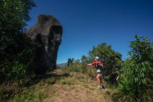 BIB: 
                            <button type="button" onclick="openModal(26580705)" class="btn btn-primary btn-sm float-right btn-popup" data-toggle="modal" data-target=".modal-high-quality">
                        <i class="fas fa-shopping-cart"></i> Add to Cart
                    </button>
                                            <button type="button" onclick="isThisMe(26580705, true)" class="btn btn-success btn-sm float-right btn-popup btn-isme hidden" data-toggle="tooltip" data-placement="bottom" title="นี่คือรูปของคุณใช่ไหม คลิกที่นี่เพื่อเอาเข้าอัลบั้ม">
                        <i class="fas fa-plus"></i> Add to album
                    </button>
                    <button type="button" onclick="isThisMe(26580705, false)" class="btn btn-warning btn-sm float-right btn-popup btn-isnotme hidden">
                        <i class="fas fa-ban"></i> Remove from album
                    </button>