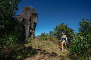 BIB: 
                            <button type="button" onclick="openModal(26575456)" class="btn btn-primary btn-sm float-right btn-popup" data-toggle="modal" data-target=".modal-high-quality">
                        <i class="fas fa-shopping-cart"></i> Add to Cart
                    </button>
                                            <button type="button" onclick="isThisMe(26575456, true)" class="btn btn-success btn-sm float-right btn-popup btn-isme hidden" data-toggle="tooltip" data-placement="bottom" title="นี่คือรูปของคุณใช่ไหม คลิกที่นี่เพื่อเอาเข้าอัลบั้ม">
                        <i class="fas fa-plus"></i> Add to album
                    </button>
                    <button type="button" onclick="isThisMe(26575456, false)" class="btn btn-warning btn-sm float-right btn-popup btn-isnotme hidden">
                        <i class="fas fa-ban"></i> Remove from album
                    </button>