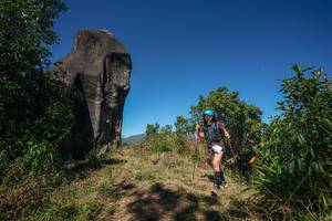 BIB: 
                            <button type="button" onclick="openModal(26577123)" class="btn btn-primary btn-sm float-right btn-popup" data-toggle="modal" data-target=".modal-high-quality">
                        <i class="fas fa-shopping-cart"></i> Add to Cart
                    </button>
                                            <button type="button" onclick="isThisMe(26577123, true)" class="btn btn-success btn-sm float-right btn-popup btn-isme hidden" data-toggle="tooltip" data-placement="bottom" title="นี่คือรูปของคุณใช่ไหม คลิกที่นี่เพื่อเอาเข้าอัลบั้ม">
                        <i class="fas fa-plus"></i> Add to album
                    </button>
                    <button type="button" onclick="isThisMe(26577123, false)" class="btn btn-warning btn-sm float-right btn-popup btn-isnotme hidden">
                        <i class="fas fa-ban"></i> Remove from album
                    </button>