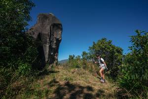 BIB: 
                            <button type="button" onclick="openModal(26576818)" class="btn btn-primary btn-sm float-right btn-popup" data-toggle="modal" data-target=".modal-high-quality">
                        <i class="fas fa-shopping-cart"></i> Add to Cart
                    </button>
                                            <button type="button" onclick="isThisMe(26576818, true)" class="btn btn-success btn-sm float-right btn-popup btn-isme hidden" data-toggle="tooltip" data-placement="bottom" title="นี่คือรูปของคุณใช่ไหม คลิกที่นี่เพื่อเอาเข้าอัลบั้ม">
                        <i class="fas fa-plus"></i> Add to album
                    </button>
                    <button type="button" onclick="isThisMe(26576818, false)" class="btn btn-warning btn-sm float-right btn-popup btn-isnotme hidden">
                        <i class="fas fa-ban"></i> Remove from album
                    </button>