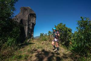 BIB: 
                            <button type="button" onclick="openModal(26577125)" class="btn btn-primary btn-sm float-right btn-popup" data-toggle="modal" data-target=".modal-high-quality">
                        <i class="fas fa-shopping-cart"></i> Add to Cart
                    </button>
                                            <button type="button" onclick="isThisMe(26577125, true)" class="btn btn-success btn-sm float-right btn-popup btn-isme hidden" data-toggle="tooltip" data-placement="bottom" title="นี่คือรูปของคุณใช่ไหม คลิกที่นี่เพื่อเอาเข้าอัลบั้ม">
                        <i class="fas fa-plus"></i> Add to album
                    </button>
                    <button type="button" onclick="isThisMe(26577125, false)" class="btn btn-warning btn-sm float-right btn-popup btn-isnotme hidden">
                        <i class="fas fa-ban"></i> Remove from album
                    </button>