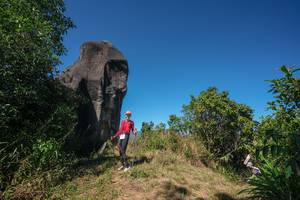 BIB: 
                            <button type="button" onclick="openModal(26578628)" class="btn btn-primary btn-sm float-right btn-popup" data-toggle="modal" data-target=".modal-high-quality">
                        <i class="fas fa-shopping-cart"></i> Add to Cart
                    </button>
                                            <button type="button" onclick="isThisMe(26578628, true)" class="btn btn-success btn-sm float-right btn-popup btn-isme hidden" data-toggle="tooltip" data-placement="bottom" title="นี่คือรูปของคุณใช่ไหม คลิกที่นี่เพื่อเอาเข้าอัลบั้ม">
                        <i class="fas fa-plus"></i> Add to album
                    </button>
                    <button type="button" onclick="isThisMe(26578628, false)" class="btn btn-warning btn-sm float-right btn-popup btn-isnotme hidden">
                        <i class="fas fa-ban"></i> Remove from album
                    </button>