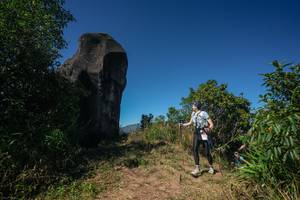 BIB: 
                            <button type="button" onclick="openModal(26583997)" class="btn btn-primary btn-sm float-right btn-popup" data-toggle="modal" data-target=".modal-high-quality">
                        <i class="fas fa-shopping-cart"></i> Add to Cart
                    </button>
                                            <button type="button" onclick="isThisMe(26583997, true)" class="btn btn-success btn-sm float-right btn-popup btn-isme hidden" data-toggle="tooltip" data-placement="bottom" title="นี่คือรูปของคุณใช่ไหม คลิกที่นี่เพื่อเอาเข้าอัลบั้ม">
                        <i class="fas fa-plus"></i> Add to album
                    </button>
                    <button type="button" onclick="isThisMe(26583997, false)" class="btn btn-warning btn-sm float-right btn-popup btn-isnotme hidden">
                        <i class="fas fa-ban"></i> Remove from album
                    </button>