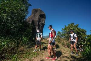 BIB: 
                            <button type="button" onclick="openModal(26578659)" class="btn btn-primary btn-sm float-right btn-popup" data-toggle="modal" data-target=".modal-high-quality">
                        <i class="fas fa-shopping-cart"></i> Add to Cart
                    </button>
                                            <button type="button" onclick="isThisMe(26578659, true)" class="btn btn-success btn-sm float-right btn-popup btn-isme hidden" data-toggle="tooltip" data-placement="bottom" title="นี่คือรูปของคุณใช่ไหม คลิกที่นี่เพื่อเอาเข้าอัลบั้ม">
                        <i class="fas fa-plus"></i> Add to album
                    </button>
                    <button type="button" onclick="isThisMe(26578659, false)" class="btn btn-warning btn-sm float-right btn-popup btn-isnotme hidden">
                        <i class="fas fa-ban"></i> Remove from album
                    </button>