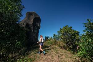 BIB: 
                            <button type="button" onclick="openModal(26582899)" class="btn btn-primary btn-sm float-right btn-popup" data-toggle="modal" data-target=".modal-high-quality">
                        <i class="fas fa-shopping-cart"></i> Add to Cart
                    </button>
                                            <button type="button" onclick="isThisMe(26582899, true)" class="btn btn-success btn-sm float-right btn-popup btn-isme hidden" data-toggle="tooltip" data-placement="bottom" title="นี่คือรูปของคุณใช่ไหม คลิกที่นี่เพื่อเอาเข้าอัลบั้ม">
                        <i class="fas fa-plus"></i> Add to album
                    </button>
                    <button type="button" onclick="isThisMe(26582899, false)" class="btn btn-warning btn-sm float-right btn-popup btn-isnotme hidden">
                        <i class="fas fa-ban"></i> Remove from album
                    </button>