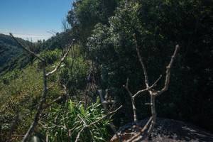 BIB: 
                            <button type="button" onclick="openModal(26572604)" class="btn btn-primary btn-sm float-right btn-popup" data-toggle="modal" data-target=".modal-high-quality">
                        <i class="fas fa-shopping-cart"></i> Add to Cart
                    </button>
                                            <button type="button" onclick="isThisMe(26572604, true)" class="btn btn-success btn-sm float-right btn-popup btn-isme hidden" data-toggle="tooltip" data-placement="bottom" title="นี่คือรูปของคุณใช่ไหม คลิกที่นี่เพื่อเอาเข้าอัลบั้ม">
                        <i class="fas fa-plus"></i> Add to album
                    </button>
                    <button type="button" onclick="isThisMe(26572604, false)" class="btn btn-warning btn-sm float-right btn-popup btn-isnotme hidden">
                        <i class="fas fa-ban"></i> Remove from album
                    </button>