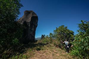 BIB: 
                            <button type="button" onclick="openModal(26583987)" class="btn btn-primary btn-sm float-right btn-popup" data-toggle="modal" data-target=".modal-high-quality">
                        <i class="fas fa-shopping-cart"></i> Add to Cart
                    </button>
                                            <button type="button" onclick="isThisMe(26583987, true)" class="btn btn-success btn-sm float-right btn-popup btn-isme hidden" data-toggle="tooltip" data-placement="bottom" title="นี่คือรูปของคุณใช่ไหม คลิกที่นี่เพื่อเอาเข้าอัลบั้ม">
                        <i class="fas fa-plus"></i> Add to album
                    </button>
                    <button type="button" onclick="isThisMe(26583987, false)" class="btn btn-warning btn-sm float-right btn-popup btn-isnotme hidden">
                        <i class="fas fa-ban"></i> Remove from album
                    </button>