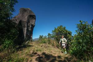 BIB: 
                            <button type="button" onclick="openModal(26577237)" class="btn btn-primary btn-sm float-right btn-popup" data-toggle="modal" data-target=".modal-high-quality">
                        <i class="fas fa-shopping-cart"></i> Add to Cart
                    </button>
                                            <button type="button" onclick="isThisMe(26577237, true)" class="btn btn-success btn-sm float-right btn-popup btn-isme hidden" data-toggle="tooltip" data-placement="bottom" title="นี่คือรูปของคุณใช่ไหม คลิกที่นี่เพื่อเอาเข้าอัลบั้ม">
                        <i class="fas fa-plus"></i> Add to album
                    </button>
                    <button type="button" onclick="isThisMe(26577237, false)" class="btn btn-warning btn-sm float-right btn-popup btn-isnotme hidden">
                        <i class="fas fa-ban"></i> Remove from album
                    </button>