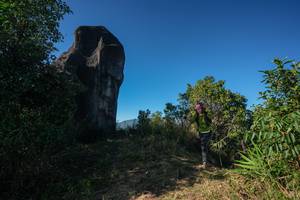 BIB: 
                            <button type="button" onclick="openModal(26592200)" class="btn btn-primary btn-sm float-right btn-popup" data-toggle="modal" data-target=".modal-high-quality">
                        <i class="fas fa-shopping-cart"></i> Add to Cart
                    </button>
                                            <button type="button" onclick="isThisMe(26592200, true)" class="btn btn-success btn-sm float-right btn-popup btn-isme hidden" data-toggle="tooltip" data-placement="bottom" title="นี่คือรูปของคุณใช่ไหม คลิกที่นี่เพื่อเอาเข้าอัลบั้ม">
                        <i class="fas fa-plus"></i> Add to album
                    </button>
                    <button type="button" onclick="isThisMe(26592200, false)" class="btn btn-warning btn-sm float-right btn-popup btn-isnotme hidden">
                        <i class="fas fa-ban"></i> Remove from album
                    </button>