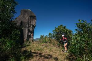 BIB: 
                            <button type="button" onclick="openModal(26574961)" class="btn btn-primary btn-sm float-right btn-popup" data-toggle="modal" data-target=".modal-high-quality">
                        <i class="fas fa-shopping-cart"></i> Add to Cart
                    </button>
                                            <button type="button" onclick="isThisMe(26574961, true)" class="btn btn-success btn-sm float-right btn-popup btn-isme hidden" data-toggle="tooltip" data-placement="bottom" title="นี่คือรูปของคุณใช่ไหม คลิกที่นี่เพื่อเอาเข้าอัลบั้ม">
                        <i class="fas fa-plus"></i> Add to album
                    </button>
                    <button type="button" onclick="isThisMe(26574961, false)" class="btn btn-warning btn-sm float-right btn-popup btn-isnotme hidden">
                        <i class="fas fa-ban"></i> Remove from album
                    </button>