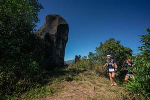 BIB: 
                            <button type="button" onclick="openModal(26583711)" class="btn btn-primary btn-sm float-right btn-popup" data-toggle="modal" data-target=".modal-high-quality">
                        <i class="fas fa-shopping-cart"></i> Add to Cart
                    </button>
                                            <button type="button" onclick="isThisMe(26583711, true)" class="btn btn-success btn-sm float-right btn-popup btn-isme hidden" data-toggle="tooltip" data-placement="bottom" title="นี่คือรูปของคุณใช่ไหม คลิกที่นี่เพื่อเอาเข้าอัลบั้ม">
                        <i class="fas fa-plus"></i> Add to album
                    </button>
                    <button type="button" onclick="isThisMe(26583711, false)" class="btn btn-warning btn-sm float-right btn-popup btn-isnotme hidden">
                        <i class="fas fa-ban"></i> Remove from album
                    </button>