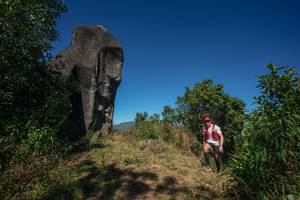 BIB: 
                            <button type="button" onclick="openModal(26576145)" class="btn btn-primary btn-sm float-right btn-popup" data-toggle="modal" data-target=".modal-high-quality">
                        <i class="fas fa-shopping-cart"></i> Add to Cart
                    </button>
                                            <button type="button" onclick="isThisMe(26576145, true)" class="btn btn-success btn-sm float-right btn-popup btn-isme hidden" data-toggle="tooltip" data-placement="bottom" title="นี่คือรูปของคุณใช่ไหม คลิกที่นี่เพื่อเอาเข้าอัลบั้ม">
                        <i class="fas fa-plus"></i> Add to album
                    </button>
                    <button type="button" onclick="isThisMe(26576145, false)" class="btn btn-warning btn-sm float-right btn-popup btn-isnotme hidden">
                        <i class="fas fa-ban"></i> Remove from album
                    </button>