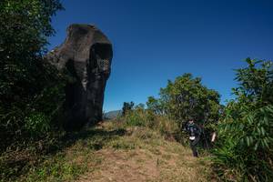 BIB: 
                            <button type="button" onclick="openModal(26581076)" class="btn btn-primary btn-sm float-right btn-popup" data-toggle="modal" data-target=".modal-high-quality">
                        <i class="fas fa-shopping-cart"></i> Add to Cart
                    </button>
                                            <button type="button" onclick="isThisMe(26581076, true)" class="btn btn-success btn-sm float-right btn-popup btn-isme hidden" data-toggle="tooltip" data-placement="bottom" title="นี่คือรูปของคุณใช่ไหม คลิกที่นี่เพื่อเอาเข้าอัลบั้ม">
                        <i class="fas fa-plus"></i> Add to album
                    </button>
                    <button type="button" onclick="isThisMe(26581076, false)" class="btn btn-warning btn-sm float-right btn-popup btn-isnotme hidden">
                        <i class="fas fa-ban"></i> Remove from album
                    </button>