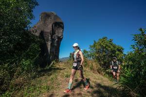 BIB: 
                            <button type="button" onclick="openModal(26578233)" class="btn btn-primary btn-sm float-right btn-popup" data-toggle="modal" data-target=".modal-high-quality">
                        <i class="fas fa-shopping-cart"></i> Add to Cart
                    </button>
                                            <button type="button" onclick="isThisMe(26578233, true)" class="btn btn-success btn-sm float-right btn-popup btn-isme hidden" data-toggle="tooltip" data-placement="bottom" title="นี่คือรูปของคุณใช่ไหม คลิกที่นี่เพื่อเอาเข้าอัลบั้ม">
                        <i class="fas fa-plus"></i> Add to album
                    </button>
                    <button type="button" onclick="isThisMe(26578233, false)" class="btn btn-warning btn-sm float-right btn-popup btn-isnotme hidden">
                        <i class="fas fa-ban"></i> Remove from album
                    </button>