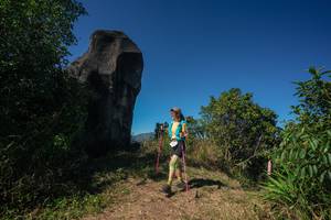 BIB: 
                            <button type="button" onclick="openModal(26585483)" class="btn btn-primary btn-sm float-right btn-popup" data-toggle="modal" data-target=".modal-high-quality">
                        <i class="fas fa-shopping-cart"></i> Add to Cart
                    </button>
                                            <button type="button" onclick="isThisMe(26585483, true)" class="btn btn-success btn-sm float-right btn-popup btn-isme hidden" data-toggle="tooltip" data-placement="bottom" title="นี่คือรูปของคุณใช่ไหม คลิกที่นี่เพื่อเอาเข้าอัลบั้ม">
                        <i class="fas fa-plus"></i> Add to album
                    </button>
                    <button type="button" onclick="isThisMe(26585483, false)" class="btn btn-warning btn-sm float-right btn-popup btn-isnotme hidden">
                        <i class="fas fa-ban"></i> Remove from album
                    </button>