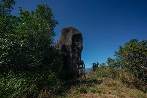 BIB: 
                            <button type="button" onclick="openModal(26582204)" class="btn btn-primary btn-sm float-right btn-popup" data-toggle="modal" data-target=".modal-high-quality">
                        <i class="fas fa-shopping-cart"></i> Add to Cart
                    </button>
                                            <button type="button" onclick="isThisMe(26582204, true)" class="btn btn-success btn-sm float-right btn-popup btn-isme hidden" data-toggle="tooltip" data-placement="bottom" title="นี่คือรูปของคุณใช่ไหม คลิกที่นี่เพื่อเอาเข้าอัลบั้ม">
                        <i class="fas fa-plus"></i> Add to album
                    </button>
                    <button type="button" onclick="isThisMe(26582204, false)" class="btn btn-warning btn-sm float-right btn-popup btn-isnotme hidden">
                        <i class="fas fa-ban"></i> Remove from album
                    </button>