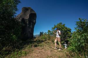 BIB: 
                            <button type="button" onclick="openModal(26583461)" class="btn btn-primary btn-sm float-right btn-popup" data-toggle="modal" data-target=".modal-high-quality">
                        <i class="fas fa-shopping-cart"></i> Add to Cart
                    </button>
                                            <button type="button" onclick="isThisMe(26583461, true)" class="btn btn-success btn-sm float-right btn-popup btn-isme hidden" data-toggle="tooltip" data-placement="bottom" title="นี่คือรูปของคุณใช่ไหม คลิกที่นี่เพื่อเอาเข้าอัลบั้ม">
                        <i class="fas fa-plus"></i> Add to album
                    </button>
                    <button type="button" onclick="isThisMe(26583461, false)" class="btn btn-warning btn-sm float-right btn-popup btn-isnotme hidden">
                        <i class="fas fa-ban"></i> Remove from album
                    </button>