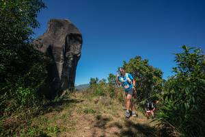 BIB: 
                            <button type="button" onclick="openModal(26578187)" class="btn btn-primary btn-sm float-right btn-popup" data-toggle="modal" data-target=".modal-high-quality">
                        <i class="fas fa-shopping-cart"></i> Add to Cart
                    </button>
                                            <button type="button" onclick="isThisMe(26578187, true)" class="btn btn-success btn-sm float-right btn-popup btn-isme hidden" data-toggle="tooltip" data-placement="bottom" title="นี่คือรูปของคุณใช่ไหม คลิกที่นี่เพื่อเอาเข้าอัลบั้ม">
                        <i class="fas fa-plus"></i> Add to album
                    </button>
                    <button type="button" onclick="isThisMe(26578187, false)" class="btn btn-warning btn-sm float-right btn-popup btn-isnotme hidden">
                        <i class="fas fa-ban"></i> Remove from album
                    </button>