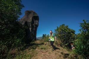 BIB: 
                            <button type="button" onclick="openModal(26579775)" class="btn btn-primary btn-sm float-right btn-popup" data-toggle="modal" data-target=".modal-high-quality">
                        <i class="fas fa-shopping-cart"></i> Add to Cart
                    </button>
                                            <button type="button" onclick="isThisMe(26579775, true)" class="btn btn-success btn-sm float-right btn-popup btn-isme hidden" data-toggle="tooltip" data-placement="bottom" title="นี่คือรูปของคุณใช่ไหม คลิกที่นี่เพื่อเอาเข้าอัลบั้ม">
                        <i class="fas fa-plus"></i> Add to album
                    </button>
                    <button type="button" onclick="isThisMe(26579775, false)" class="btn btn-warning btn-sm float-right btn-popup btn-isnotme hidden">
                        <i class="fas fa-ban"></i> Remove from album
                    </button>