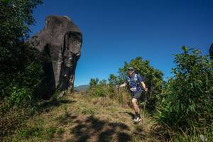 BIB: 
                            <button type="button" onclick="openModal(26577016)" class="btn btn-primary btn-sm float-right btn-popup" data-toggle="modal" data-target=".modal-high-quality">
                        <i class="fas fa-shopping-cart"></i> Add to Cart
                    </button>
                                            <button type="button" onclick="isThisMe(26577016, true)" class="btn btn-success btn-sm float-right btn-popup btn-isme hidden" data-toggle="tooltip" data-placement="bottom" title="นี่คือรูปของคุณใช่ไหม คลิกที่นี่เพื่อเอาเข้าอัลบั้ม">
                        <i class="fas fa-plus"></i> Add to album
                    </button>
                    <button type="button" onclick="isThisMe(26577016, false)" class="btn btn-warning btn-sm float-right btn-popup btn-isnotme hidden">
                        <i class="fas fa-ban"></i> Remove from album
                    </button>