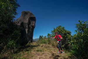 BIB: 
                            <button type="button" onclick="openModal(26579111)" class="btn btn-primary btn-sm float-right btn-popup" data-toggle="modal" data-target=".modal-high-quality">
                        <i class="fas fa-shopping-cart"></i> Add to Cart
                    </button>
                                            <button type="button" onclick="isThisMe(26579111, true)" class="btn btn-success btn-sm float-right btn-popup btn-isme hidden" data-toggle="tooltip" data-placement="bottom" title="นี่คือรูปของคุณใช่ไหม คลิกที่นี่เพื่อเอาเข้าอัลบั้ม">
                        <i class="fas fa-plus"></i> Add to album
                    </button>
                    <button type="button" onclick="isThisMe(26579111, false)" class="btn btn-warning btn-sm float-right btn-popup btn-isnotme hidden">
                        <i class="fas fa-ban"></i> Remove from album
                    </button>