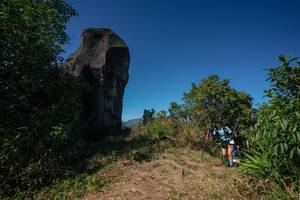 BIB: 
                            <button type="button" onclick="openModal(26584933)" class="btn btn-primary btn-sm float-right btn-popup" data-toggle="modal" data-target=".modal-high-quality">
                        <i class="fas fa-shopping-cart"></i> Add to Cart
                    </button>
                                            <button type="button" onclick="isThisMe(26584933, true)" class="btn btn-success btn-sm float-right btn-popup btn-isme hidden" data-toggle="tooltip" data-placement="bottom" title="นี่คือรูปของคุณใช่ไหม คลิกที่นี่เพื่อเอาเข้าอัลบั้ม">
                        <i class="fas fa-plus"></i> Add to album
                    </button>
                    <button type="button" onclick="isThisMe(26584933, false)" class="btn btn-warning btn-sm float-right btn-popup btn-isnotme hidden">
                        <i class="fas fa-ban"></i> Remove from album
                    </button>