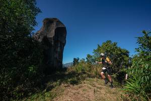 BIB: 
                            <button type="button" onclick="openModal(26585141)" class="btn btn-primary btn-sm float-right btn-popup" data-toggle="modal" data-target=".modal-high-quality">
                        <i class="fas fa-shopping-cart"></i> Add to Cart
                    </button>
                                            <button type="button" onclick="isThisMe(26585141, true)" class="btn btn-success btn-sm float-right btn-popup btn-isme hidden" data-toggle="tooltip" data-placement="bottom" title="นี่คือรูปของคุณใช่ไหม คลิกที่นี่เพื่อเอาเข้าอัลบั้ม">
                        <i class="fas fa-plus"></i> Add to album
                    </button>
                    <button type="button" onclick="isThisMe(26585141, false)" class="btn btn-warning btn-sm float-right btn-popup btn-isnotme hidden">
                        <i class="fas fa-ban"></i> Remove from album
                    </button>