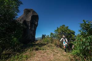 BIB: 
                            <button type="button" onclick="openModal(26583308)" class="btn btn-primary btn-sm float-right btn-popup" data-toggle="modal" data-target=".modal-high-quality">
                        <i class="fas fa-shopping-cart"></i> Add to Cart
                    </button>
                                            <button type="button" onclick="isThisMe(26583308, true)" class="btn btn-success btn-sm float-right btn-popup btn-isme hidden" data-toggle="tooltip" data-placement="bottom" title="นี่คือรูปของคุณใช่ไหม คลิกที่นี่เพื่อเอาเข้าอัลบั้ม">
                        <i class="fas fa-plus"></i> Add to album
                    </button>
                    <button type="button" onclick="isThisMe(26583308, false)" class="btn btn-warning btn-sm float-right btn-popup btn-isnotme hidden">
                        <i class="fas fa-ban"></i> Remove from album
                    </button>