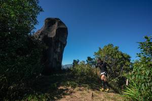 BIB: 
                            <button type="button" onclick="openModal(26588145)" class="btn btn-primary btn-sm float-right btn-popup" data-toggle="modal" data-target=".modal-high-quality">
                        <i class="fas fa-shopping-cart"></i> Add to Cart
                    </button>
                                            <button type="button" onclick="isThisMe(26588145, true)" class="btn btn-success btn-sm float-right btn-popup btn-isme hidden" data-toggle="tooltip" data-placement="bottom" title="นี่คือรูปของคุณใช่ไหม คลิกที่นี่เพื่อเอาเข้าอัลบั้ม">
                        <i class="fas fa-plus"></i> Add to album
                    </button>
                    <button type="button" onclick="isThisMe(26588145, false)" class="btn btn-warning btn-sm float-right btn-popup btn-isnotme hidden">
                        <i class="fas fa-ban"></i> Remove from album
                    </button>