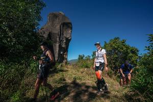 BIB: 
                            <button type="button" onclick="openModal(26576645)" class="btn btn-primary btn-sm float-right btn-popup" data-toggle="modal" data-target=".modal-high-quality">
                        <i class="fas fa-shopping-cart"></i> Add to Cart
                    </button>
                                            <button type="button" onclick="isThisMe(26576645, true)" class="btn btn-success btn-sm float-right btn-popup btn-isme hidden" data-toggle="tooltip" data-placement="bottom" title="นี่คือรูปของคุณใช่ไหม คลิกที่นี่เพื่อเอาเข้าอัลบั้ม">
                        <i class="fas fa-plus"></i> Add to album
                    </button>
                    <button type="button" onclick="isThisMe(26576645, false)" class="btn btn-warning btn-sm float-right btn-popup btn-isnotme hidden">
                        <i class="fas fa-ban"></i> Remove from album
                    </button>