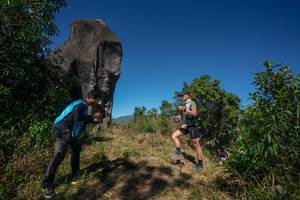 BIB: 
                            <button type="button" onclick="openModal(26576626)" class="btn btn-primary btn-sm float-right btn-popup" data-toggle="modal" data-target=".modal-high-quality">
                        <i class="fas fa-shopping-cart"></i> Add to Cart
                    </button>
                                            <button type="button" onclick="isThisMe(26576626, true)" class="btn btn-success btn-sm float-right btn-popup btn-isme hidden" data-toggle="tooltip" data-placement="bottom" title="นี่คือรูปของคุณใช่ไหม คลิกที่นี่เพื่อเอาเข้าอัลบั้ม">
                        <i class="fas fa-plus"></i> Add to album
                    </button>
                    <button type="button" onclick="isThisMe(26576626, false)" class="btn btn-warning btn-sm float-right btn-popup btn-isnotme hidden">
                        <i class="fas fa-ban"></i> Remove from album
                    </button>