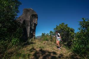 BIB: 
                            <button type="button" onclick="openModal(26576831)" class="btn btn-primary btn-sm float-right btn-popup" data-toggle="modal" data-target=".modal-high-quality">
                        <i class="fas fa-shopping-cart"></i> Add to Cart
                    </button>
                                            <button type="button" onclick="isThisMe(26576831, true)" class="btn btn-success btn-sm float-right btn-popup btn-isme hidden" data-toggle="tooltip" data-placement="bottom" title="นี่คือรูปของคุณใช่ไหม คลิกที่นี่เพื่อเอาเข้าอัลบั้ม">
                        <i class="fas fa-plus"></i> Add to album
                    </button>
                    <button type="button" onclick="isThisMe(26576831, false)" class="btn btn-warning btn-sm float-right btn-popup btn-isnotme hidden">
                        <i class="fas fa-ban"></i> Remove from album
                    </button>