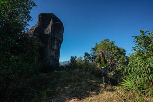 BIB: 
                            <button type="button" onclick="openModal(26592215)" class="btn btn-primary btn-sm float-right btn-popup" data-toggle="modal" data-target=".modal-high-quality">
                        <i class="fas fa-shopping-cart"></i> Add to Cart
                    </button>
                                            <button type="button" onclick="isThisMe(26592215, true)" class="btn btn-success btn-sm float-right btn-popup btn-isme hidden" data-toggle="tooltip" data-placement="bottom" title="นี่คือรูปของคุณใช่ไหม คลิกที่นี่เพื่อเอาเข้าอัลบั้ม">
                        <i class="fas fa-plus"></i> Add to album
                    </button>
                    <button type="button" onclick="isThisMe(26592215, false)" class="btn btn-warning btn-sm float-right btn-popup btn-isnotme hidden">
                        <i class="fas fa-ban"></i> Remove from album
                    </button>