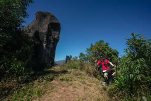 BIB: 
                            <button type="button" onclick="openModal(26580651)" class="btn btn-primary btn-sm float-right btn-popup" data-toggle="modal" data-target=".modal-high-quality">
                        <i class="fas fa-shopping-cart"></i> Add to Cart
                    </button>
                                            <button type="button" onclick="isThisMe(26580651, true)" class="btn btn-success btn-sm float-right btn-popup btn-isme hidden" data-toggle="tooltip" data-placement="bottom" title="นี่คือรูปของคุณใช่ไหม คลิกที่นี่เพื่อเอาเข้าอัลบั้ม">
                        <i class="fas fa-plus"></i> Add to album
                    </button>
                    <button type="button" onclick="isThisMe(26580651, false)" class="btn btn-warning btn-sm float-right btn-popup btn-isnotme hidden">
                        <i class="fas fa-ban"></i> Remove from album
                    </button>