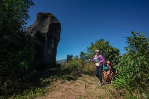 BIB: 
                            <button type="button" onclick="openModal(26586169)" class="btn btn-primary btn-sm float-right btn-popup" data-toggle="modal" data-target=".modal-high-quality">
                        <i class="fas fa-shopping-cart"></i> Add to Cart
                    </button>
                                            <button type="button" onclick="isThisMe(26586169, true)" class="btn btn-success btn-sm float-right btn-popup btn-isme hidden" data-toggle="tooltip" data-placement="bottom" title="นี่คือรูปของคุณใช่ไหม คลิกที่นี่เพื่อเอาเข้าอัลบั้ม">
                        <i class="fas fa-plus"></i> Add to album
                    </button>
                    <button type="button" onclick="isThisMe(26586169, false)" class="btn btn-warning btn-sm float-right btn-popup btn-isnotme hidden">
                        <i class="fas fa-ban"></i> Remove from album
                    </button>