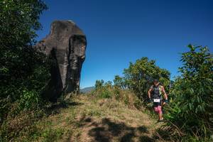 BIB: 
                            <button type="button" onclick="openModal(26577225)" class="btn btn-primary btn-sm float-right btn-popup" data-toggle="modal" data-target=".modal-high-quality">
                        <i class="fas fa-shopping-cart"></i> Add to Cart
                    </button>
                                            <button type="button" onclick="isThisMe(26577225, true)" class="btn btn-success btn-sm float-right btn-popup btn-isme hidden" data-toggle="tooltip" data-placement="bottom" title="นี่คือรูปของคุณใช่ไหม คลิกที่นี่เพื่อเอาเข้าอัลบั้ม">
                        <i class="fas fa-plus"></i> Add to album
                    </button>
                    <button type="button" onclick="isThisMe(26577225, false)" class="btn btn-warning btn-sm float-right btn-popup btn-isnotme hidden">
                        <i class="fas fa-ban"></i> Remove from album
                    </button>