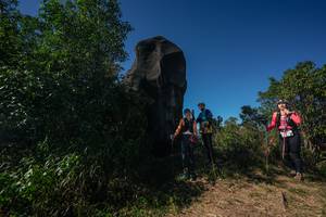 BIB: 
                            <button type="button" onclick="openModal(26587391)" class="btn btn-primary btn-sm float-right btn-popup" data-toggle="modal" data-target=".modal-high-quality">
                        <i class="fas fa-shopping-cart"></i> Add to Cart
                    </button>
                                            <button type="button" onclick="isThisMe(26587391, true)" class="btn btn-success btn-sm float-right btn-popup btn-isme hidden" data-toggle="tooltip" data-placement="bottom" title="นี่คือรูปของคุณใช่ไหม คลิกที่นี่เพื่อเอาเข้าอัลบั้ม">
                        <i class="fas fa-plus"></i> Add to album
                    </button>
                    <button type="button" onclick="isThisMe(26587391, false)" class="btn btn-warning btn-sm float-right btn-popup btn-isnotme hidden">
                        <i class="fas fa-ban"></i> Remove from album
                    </button>