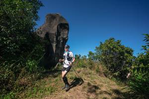 BIB: 
                            <button type="button" onclick="openModal(26578737)" class="btn btn-primary btn-sm float-right btn-popup" data-toggle="modal" data-target=".modal-high-quality">
                        <i class="fas fa-shopping-cart"></i> Add to Cart
                    </button>
                                            <button type="button" onclick="isThisMe(26578737, true)" class="btn btn-success btn-sm float-right btn-popup btn-isme hidden" data-toggle="tooltip" data-placement="bottom" title="นี่คือรูปของคุณใช่ไหม คลิกที่นี่เพื่อเอาเข้าอัลบั้ม">
                        <i class="fas fa-plus"></i> Add to album
                    </button>
                    <button type="button" onclick="isThisMe(26578737, false)" class="btn btn-warning btn-sm float-right btn-popup btn-isnotme hidden">
                        <i class="fas fa-ban"></i> Remove from album
                    </button>