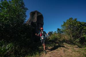 BIB: 
                            <button type="button" onclick="openModal(26586905)" class="btn btn-primary btn-sm float-right btn-popup" data-toggle="modal" data-target=".modal-high-quality">
                        <i class="fas fa-shopping-cart"></i> Add to Cart
                    </button>
                                            <button type="button" onclick="isThisMe(26586905, true)" class="btn btn-success btn-sm float-right btn-popup btn-isme hidden" data-toggle="tooltip" data-placement="bottom" title="นี่คือรูปของคุณใช่ไหม คลิกที่นี่เพื่อเอาเข้าอัลบั้ม">
                        <i class="fas fa-plus"></i> Add to album
                    </button>
                    <button type="button" onclick="isThisMe(26586905, false)" class="btn btn-warning btn-sm float-right btn-popup btn-isnotme hidden">
                        <i class="fas fa-ban"></i> Remove from album
                    </button>